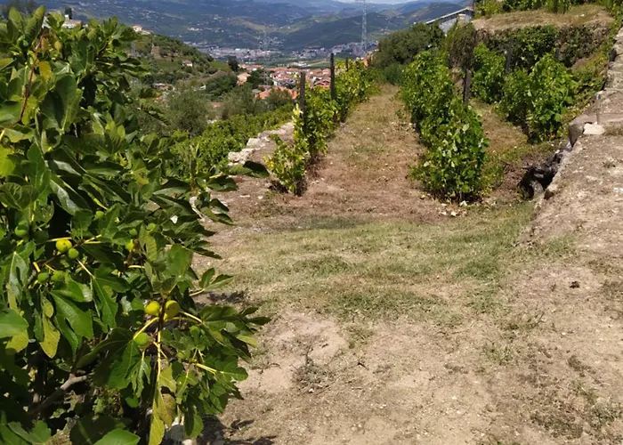 度假居 Quinta De Penelas *