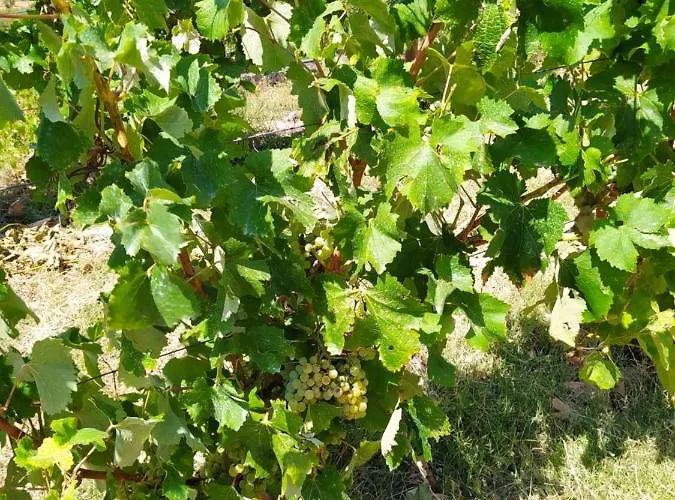 Quinta De Penelas 度假居 拉梅戈